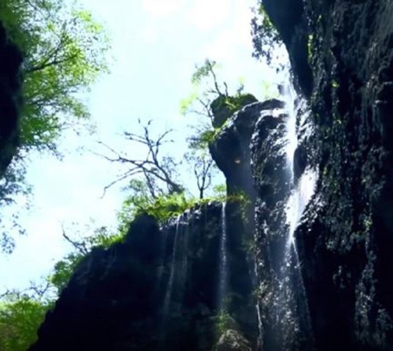 青山綠水，白龍江畔江畔息白鷺，兩岸綠橄欖入眼的都是純樸自然枝上花開(kāi)，春來(lái)水暖魚(yú)蝦戲水，鳥(niǎo)語(yǔ)花香心中充滿(mǎn)著舒暢之感祥宇生態(tài)產(chǎn)業(yè)園，位于隴南市武..